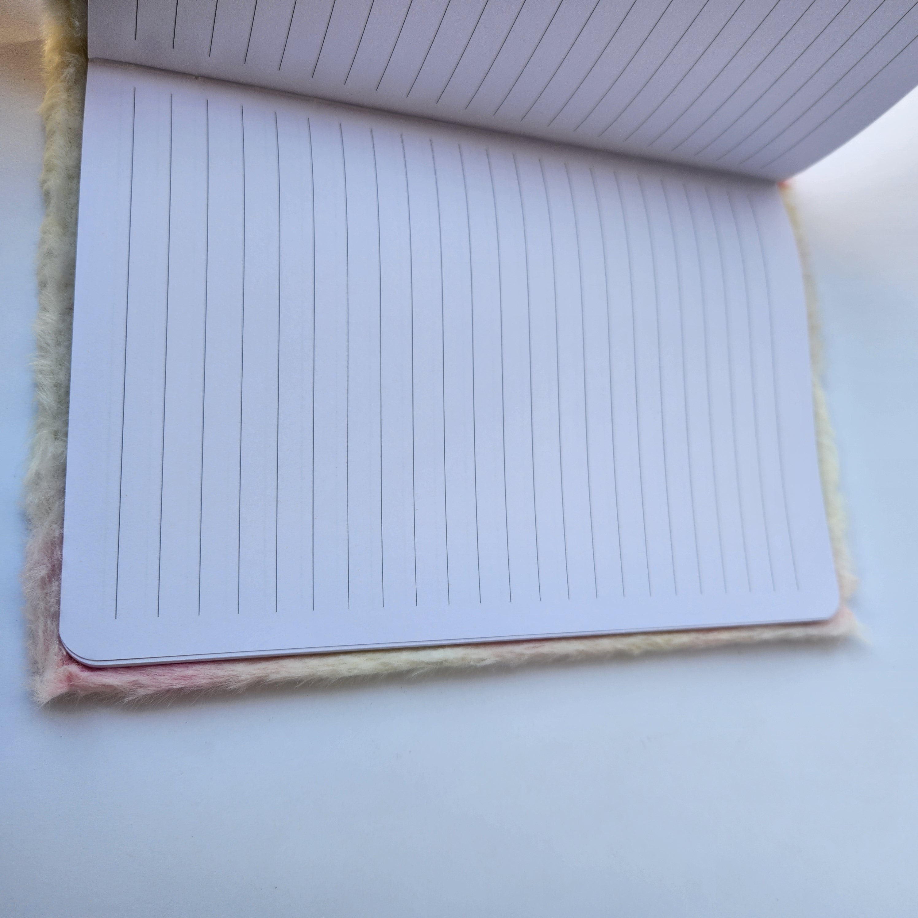 Diary - Gift for Girls and Boys